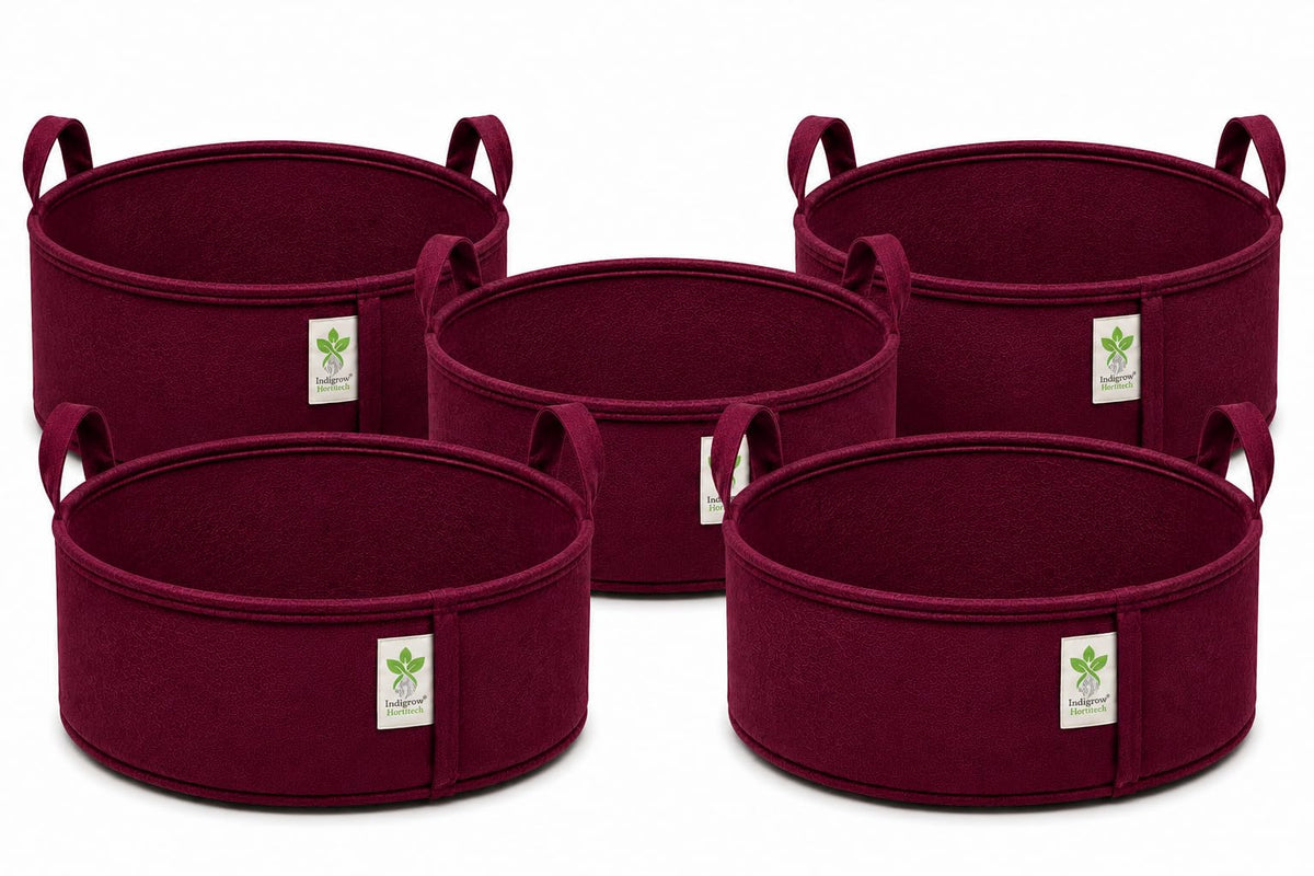 Maroon geo fabric grow bag 12x9 inches pack of 5