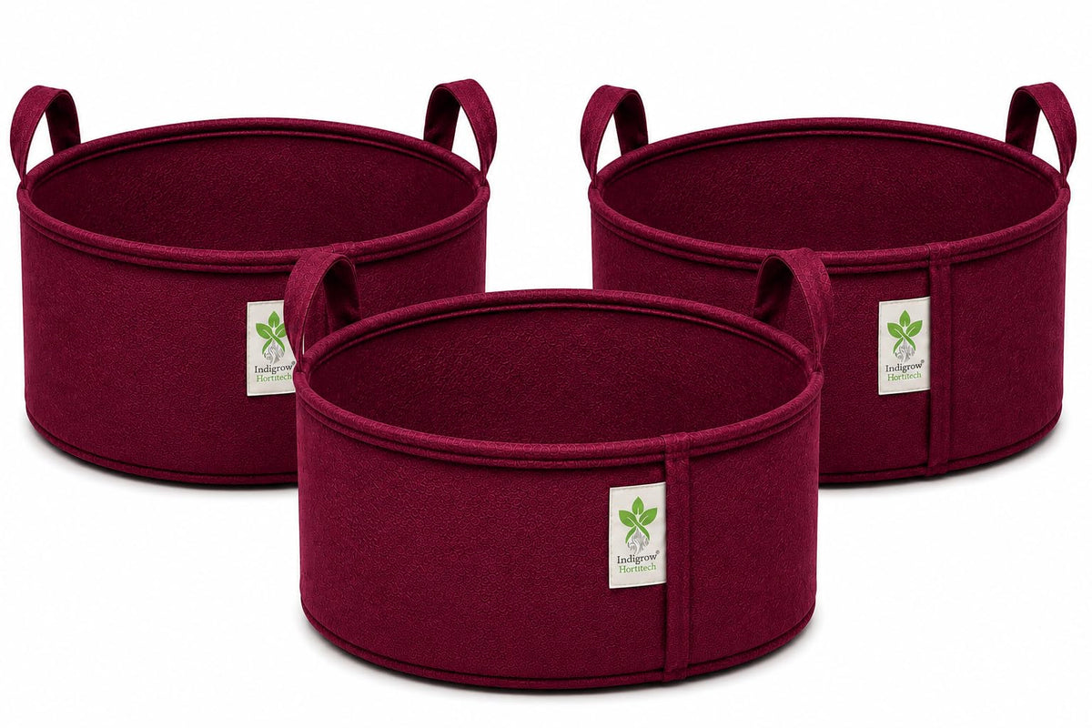 Maroon geo fabric grow bag 18x9 inches pack of 3